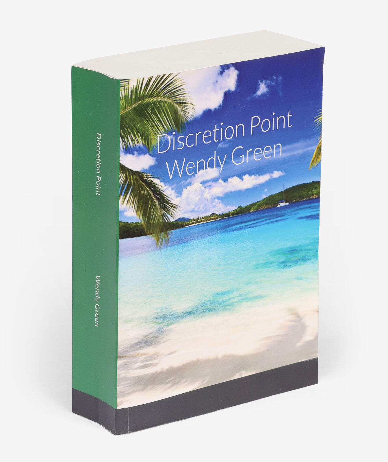 Discretion Point book